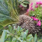 Bed and Breakfast Signora Irma Margherita Di Savoia