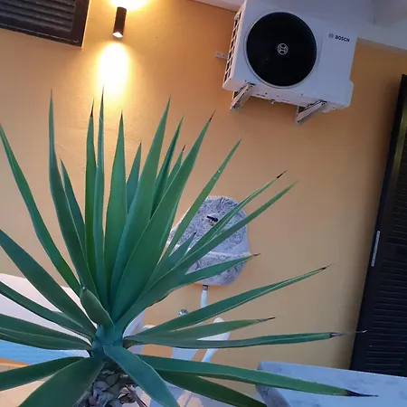 Signora Irma Nocleg ze śniadaniem